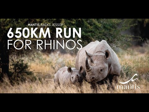 Mantis backs Jessop run for Rhino's