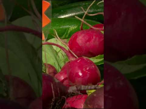 Incredible Health Benefits Of Radishes (Radish Benefits For Kidney)