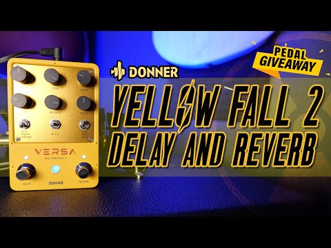 Is This the BEST Budget Reverb & Delay Pedal? Yellow Fall 2 by Donner
