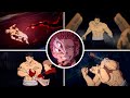 Yuji Todo Vs Sukuna Jujutsu Kaisen Chapter 263
