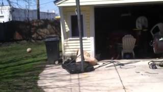 Mo-Rush sprains ankle ( around 30 seconds )