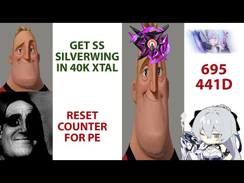 Making the most out of my 40k Silverwing | NIrvana 441D 695