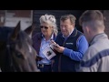 Goffs UK Spring Sale Review 2019