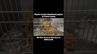Deputy rescues abandoned puppies in Fresno County