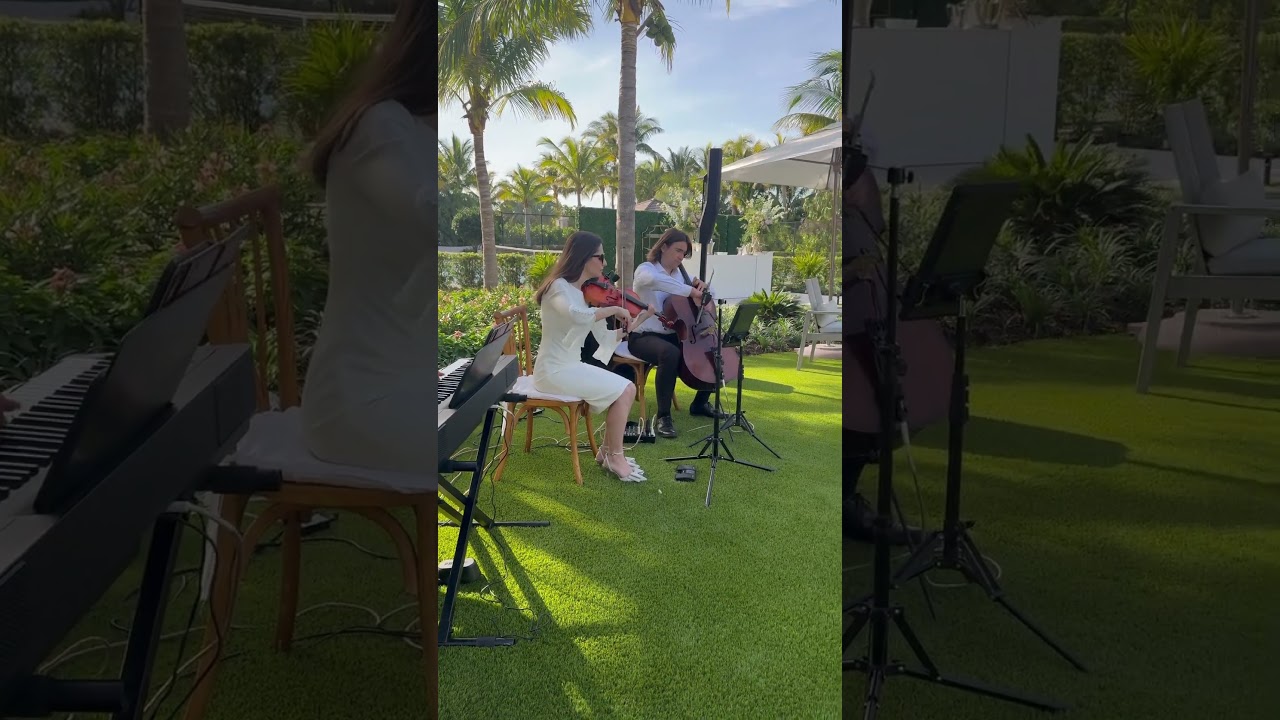 Promotional video thumbnail 9 for IL Suono Music Agency