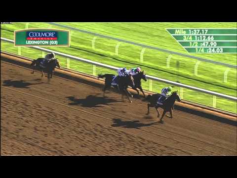 2015 Coolmore Lexington (G3) - Divining Rod