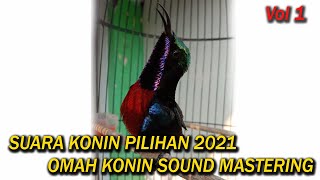 Download lagu OMAH KONIN MASTERING 1 || CIBLEK & CILILIN mp3