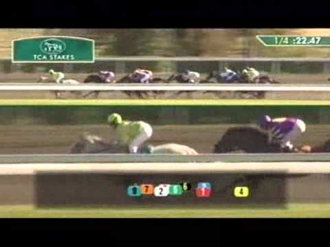 2010 Thoroughbred Club of America Stakes