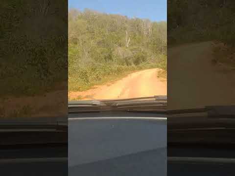 Correntes Piauí a Guaribas Piauí!!!