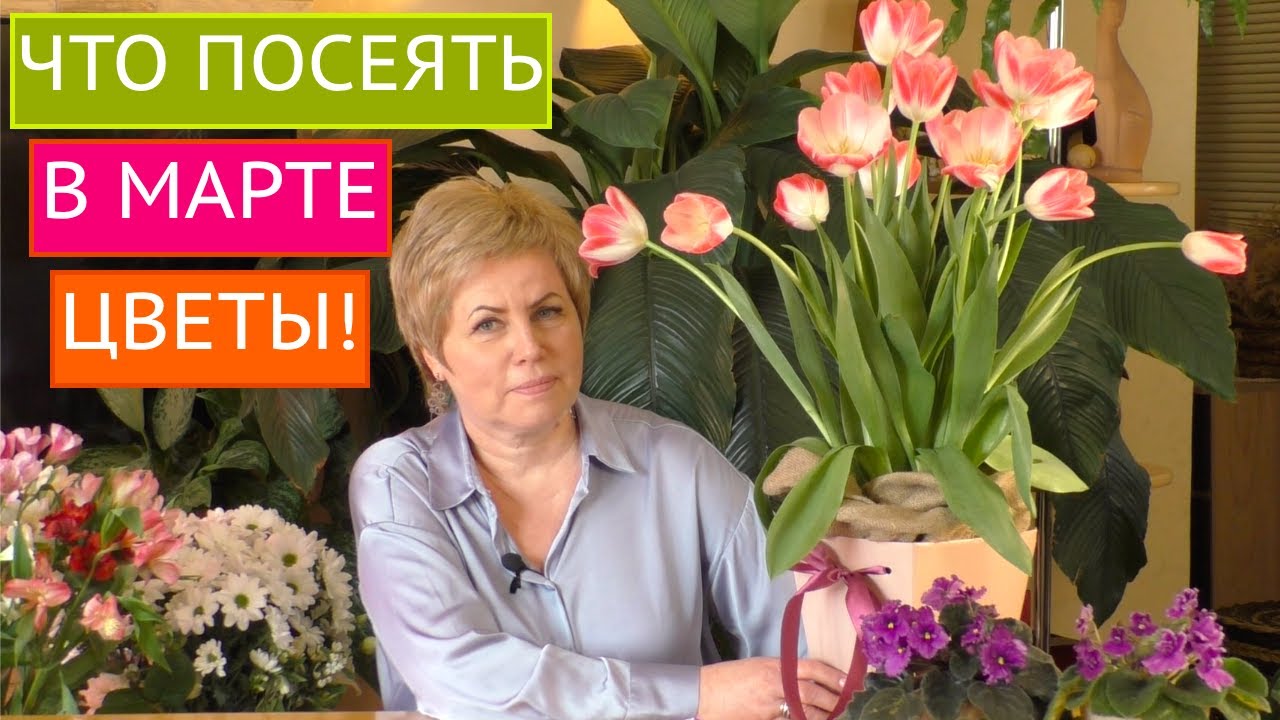 Какие цветы посеять на рассаду в марте! Рассада 2021!