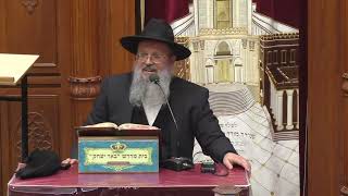 נביאים כתובים | הרב דוד לוי | ספר משלי -פרק כ' פסוק ה' --לימד תורה מרבותיו או חבריו - יח' אייר תשפ"ו