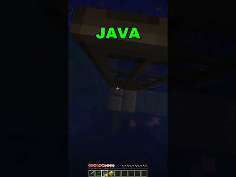 Shocking Minecraft Revelation: Java vs Bedrock | Must See!