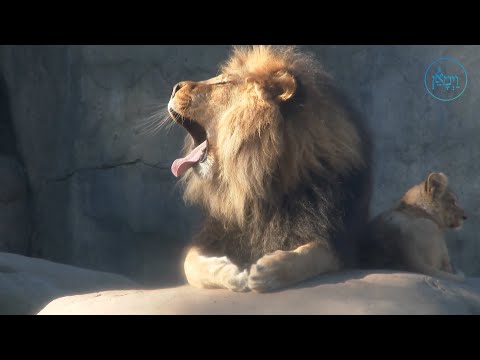 Unimaginable Power | Rabbi Meir Simcha Sperling