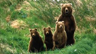 Make Me Alive - Image Of The Invisible