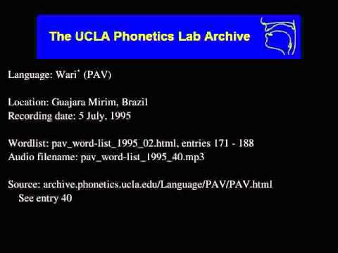 Wari' audio: pav_word-list_1995_40