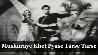 Muskuraye Khet Pyase Tarse Tarse | Joy Mukherjee | Sadhana | Mohammed Rafi Song | Love in Simla