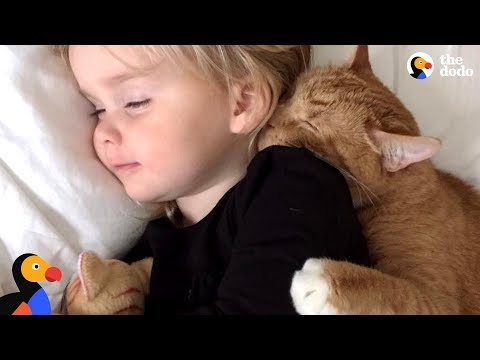 Senior Cat Loves These Little Girls More Than Anything - BAILEY | The Dodo