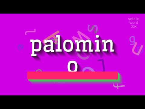 How to say "palomino"! (High Quality Voices)