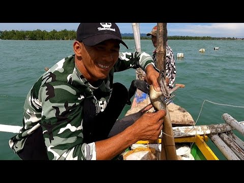 EP232:PART1-ANG BILIS NG SINAKYANG KABAYO NI BENTONG/PANGHUHULI NG MALABANOS