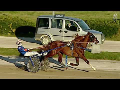 Aversa trotto 20 Febbraio 2021 - 7° Corsa