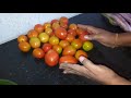 Kids Padam 9 VEGETABLES