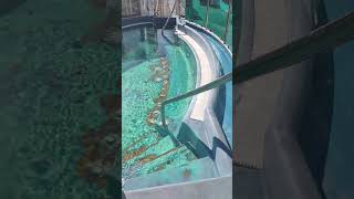 Hot Tub on the Carnival Dream #hottub #carnivaldream #cruise