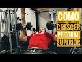 TREINO PARA DESENVOLVER PEITORAL SUPERIOR