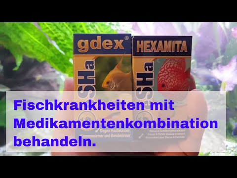 Die Medikamente von gribka der Beine Lozeril der Preis in den Apotheken ufy