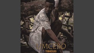 Umcebo Music Video