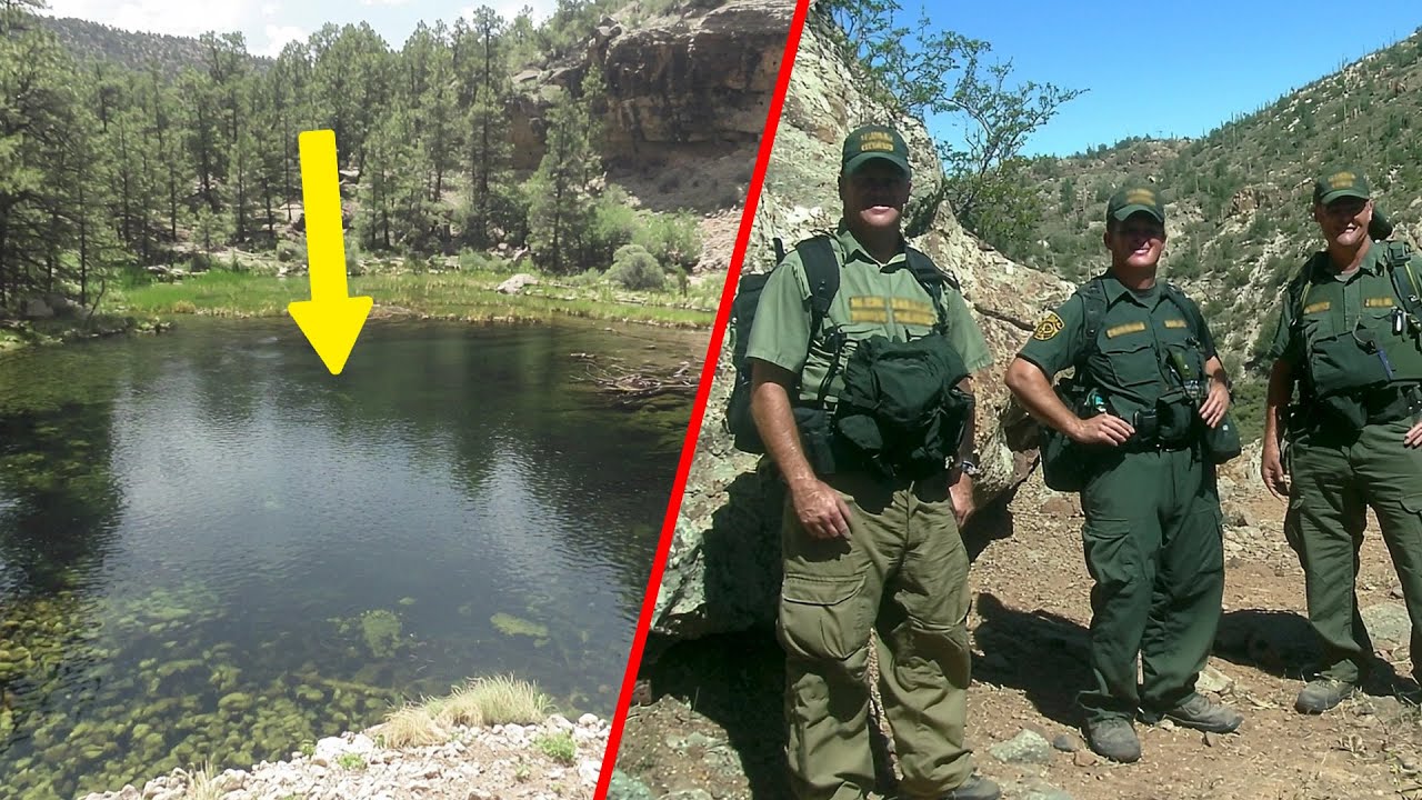 Can These Sounds Explain Their Disappearance?