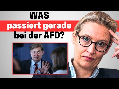 Skandal: AfD-Spitzenkandidat unter Spionageverdacht (aufgedeckt)