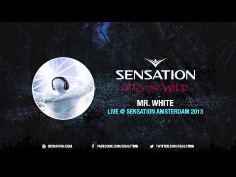 Mr. White - Live @ Sensation Amsterdam 2013
