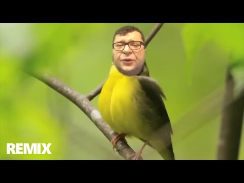 Zbigniew Stonoga ft. Antonio Vivaldi - Wiosna REMIX