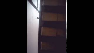 Olvide (Carla Morrison)