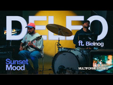 Multiforme Stereo and Deleo