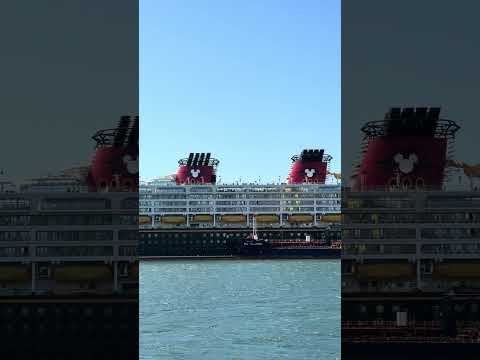 Thumbnail for Views of the Sydney Harbour Bridge and Disney Wonder Cruise Ship in Sydney Harbour Sydney Australia