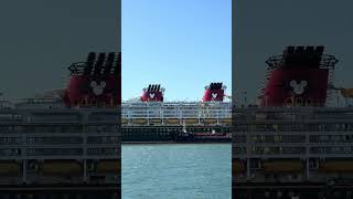 Views of the Sydney Harbour Bridge and Disney Wonder Cruise Ship in Sydney Harbour Sydney Australia