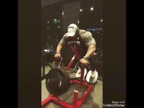 Big Ramy | Back WorkOut 7