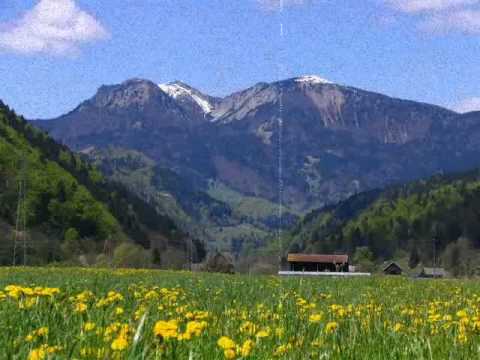 Ansambel Lojzeta Slaka - Selška Dolina