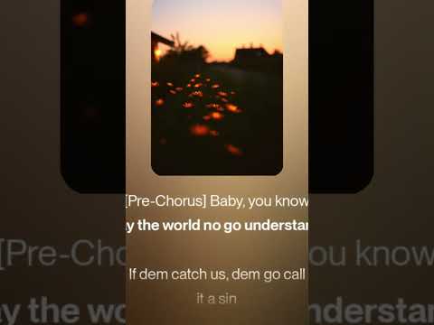 Harlem Richard$-Forbidden Love (Lyrics Video )