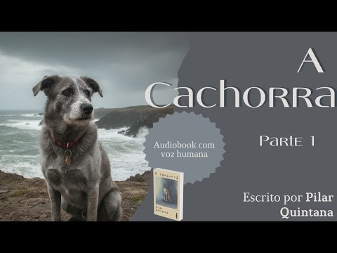 video thumnail