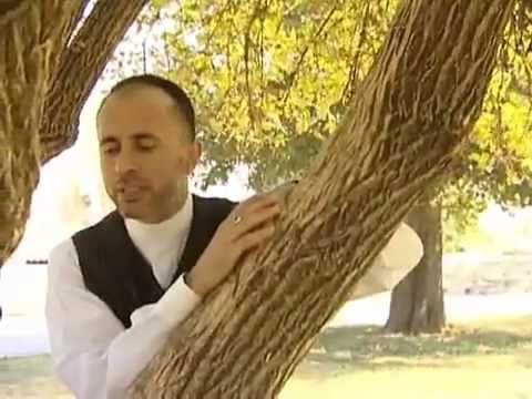 Engin Titiz Yakma Yarabbi