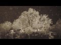 Kiasmos - Drawn (Official Music Video)