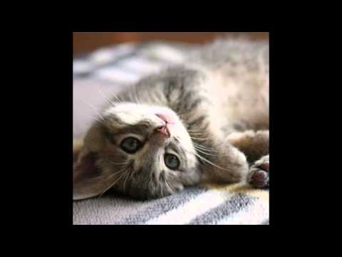 Inga Valinskienė -- Kodėl