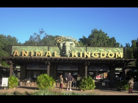 My Top 10 Rides And Attractions At Animal Kingdom Orlando