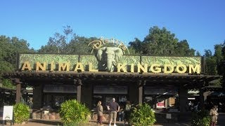 My Top 10 Rides And Attractions At Animal Kingdom Orlando