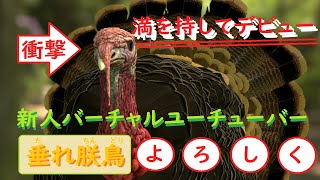 どうも！動物園から逃げてきた系Vtuberの垂れ朕鳥です