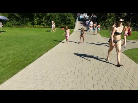 ガーデンスイミングプールのレイアウト - インスピレーションを与えるアイデアと写真  庭園