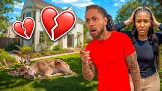 We Spotted a DEER with a Broken Leg in Our Backyard!