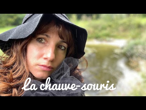 Amusement dimanchesque n°29: La chauve souris (T. Fersen)